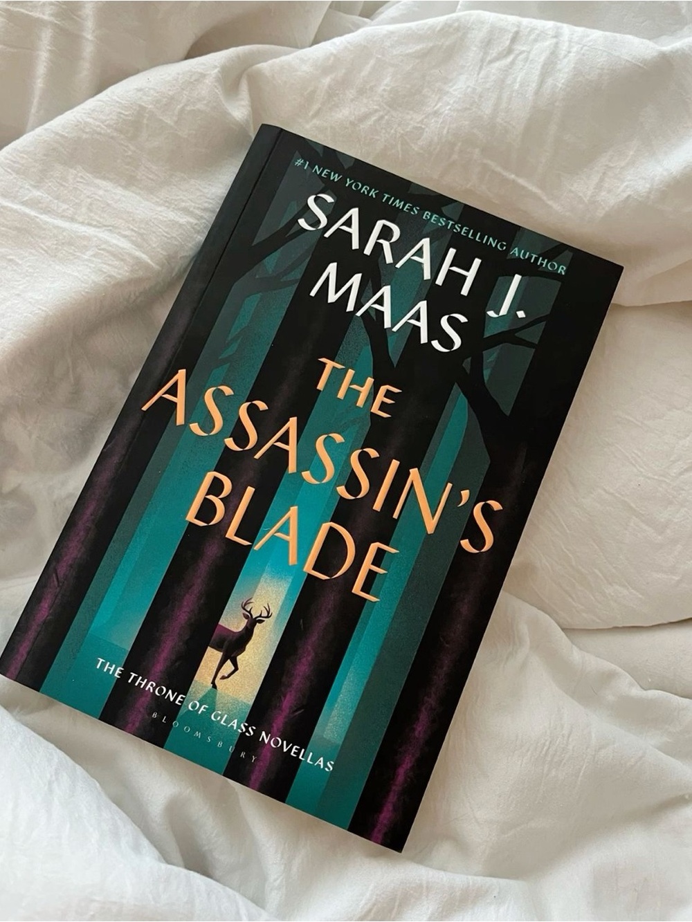 The Assassin's Blade By Sarah J Maas Paperback Book